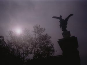 Un meraviglioso scatto di Santina Petruccio
