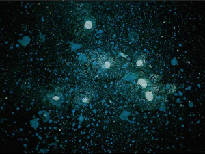 "Luminarie Blu" – Acrilico e smalto su tela di Marco Marciani