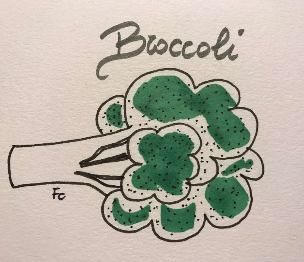 illustrazione di Francesca Cavallari
