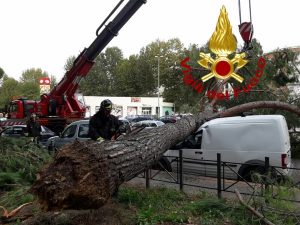 Due tronchi caduti in poche ore. È polemica: "Raggi sta monitorando gli alberi a rischio?"