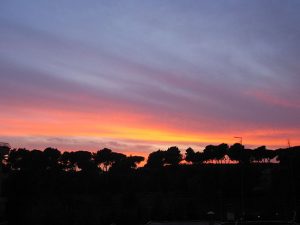 Tramonto su Villa Ada, Roma (Wikipedia).