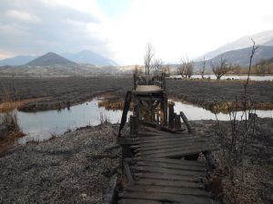 Un incendio doloso devasta la Riserva Naturale del lago di Posta Fibreno (FOTO)