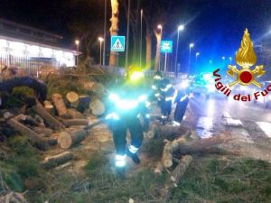 La Storta, albero si abbatte su via Cassia: grave automobilista