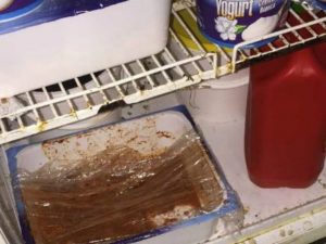 Blatte e topi in cucina: la disgustosa scoperta in una pizzeria del rione Monti