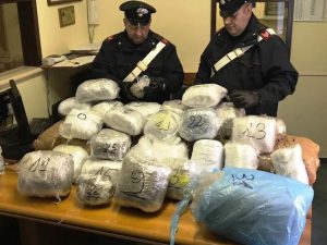 100 chili di marijuana in camera da letto: arrestato 20enne albanese