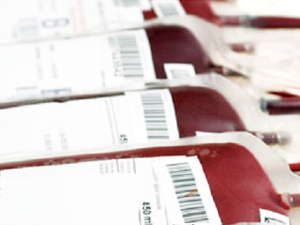 Roma, l'appello della Croce Rossa per le donazioni di sangue: "In estate aumenta l'emergenza"