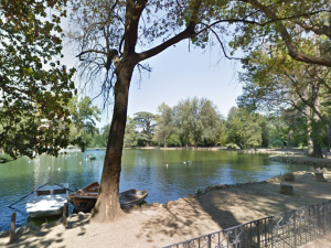 La denuncia di Italia Nostra: "Topi nel laghetto di Villa Borghese"