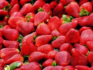 Sagra della fragole tra quelle in programma nel Lazio nel weekend.