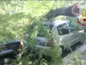 Roma, albero si abbatte su un passante in piazza delle Libertà: ferito gravemente 68enne