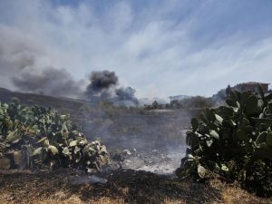 In fiamme la Valle dei Casali: le fiamme minacciano le abitazioni a Casetta Mattei
