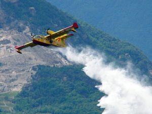 Roma brucia: incendi da Tor di Quinto alla pineta di Ostia. "Chiediamo lo stato di calamità"