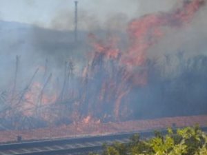 Ferma la ferrovia tra Bracciano e Anguillara a causa di un incendio: ritardi e disagi