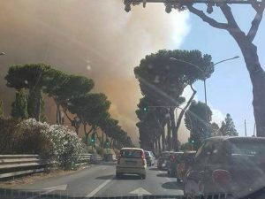 La nube di fumo causata dai roghi nella pineta di Castel Fusano (Foto di "Roma fa schifo" via Facebook)