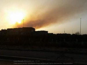 Castel Fusano brucia ancora (nonostante l’esercito): nuovo incendio all’alba