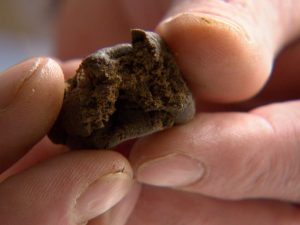 Ostia, pusher va al supermercato per pesare l'hashish: arrestato un 23enne