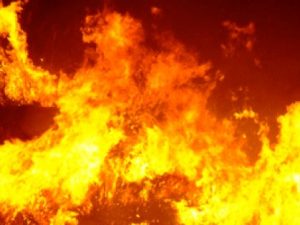 Arrestato 18enne a Monterotondo: "Appicco incendi per noia"