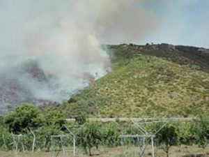 Incendio alla porte di Latina (Vigili del Fuoco).