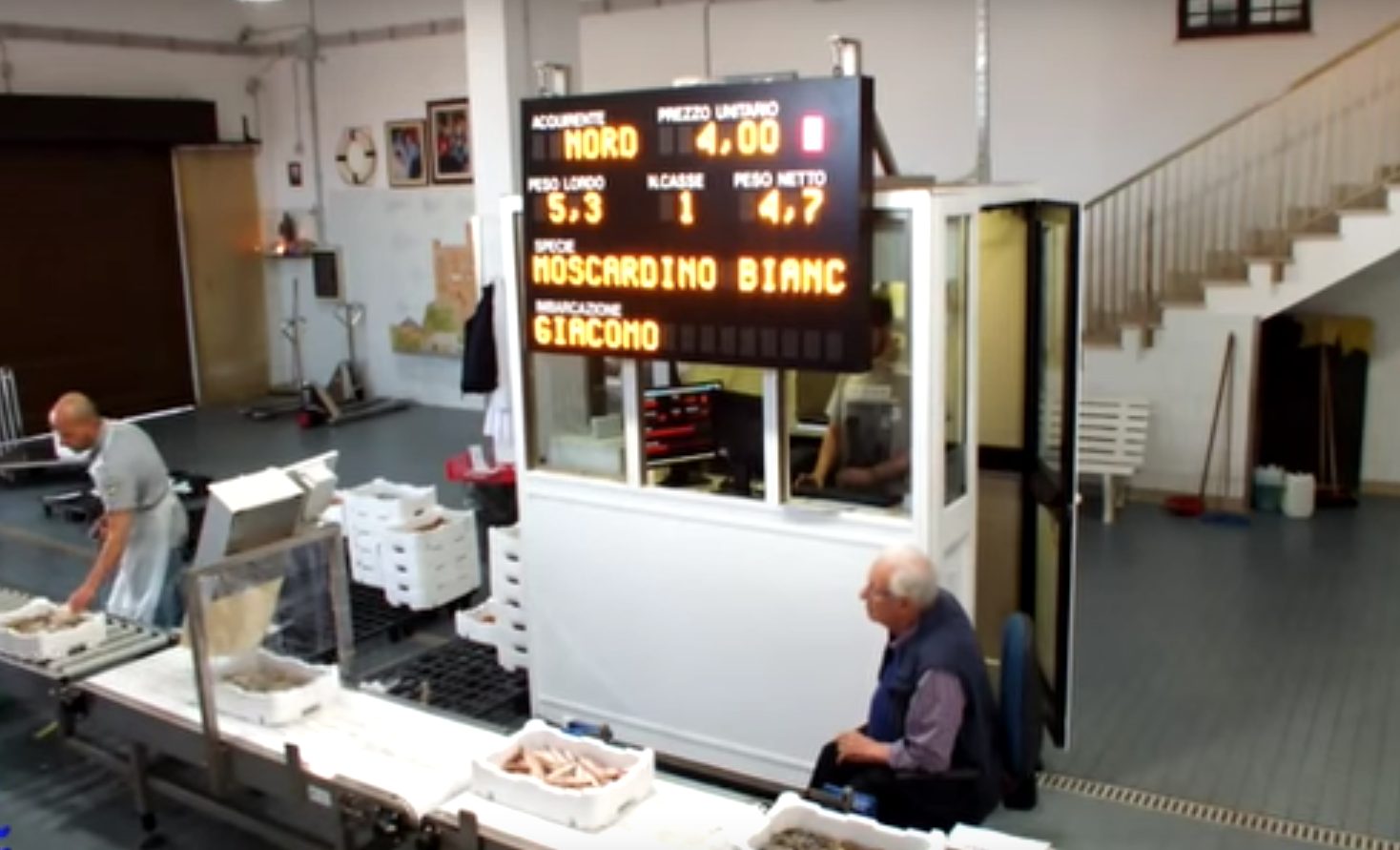 Come funziona l’asta del pesce a FIumicino. Seduto si intravede Giovanni Istinto