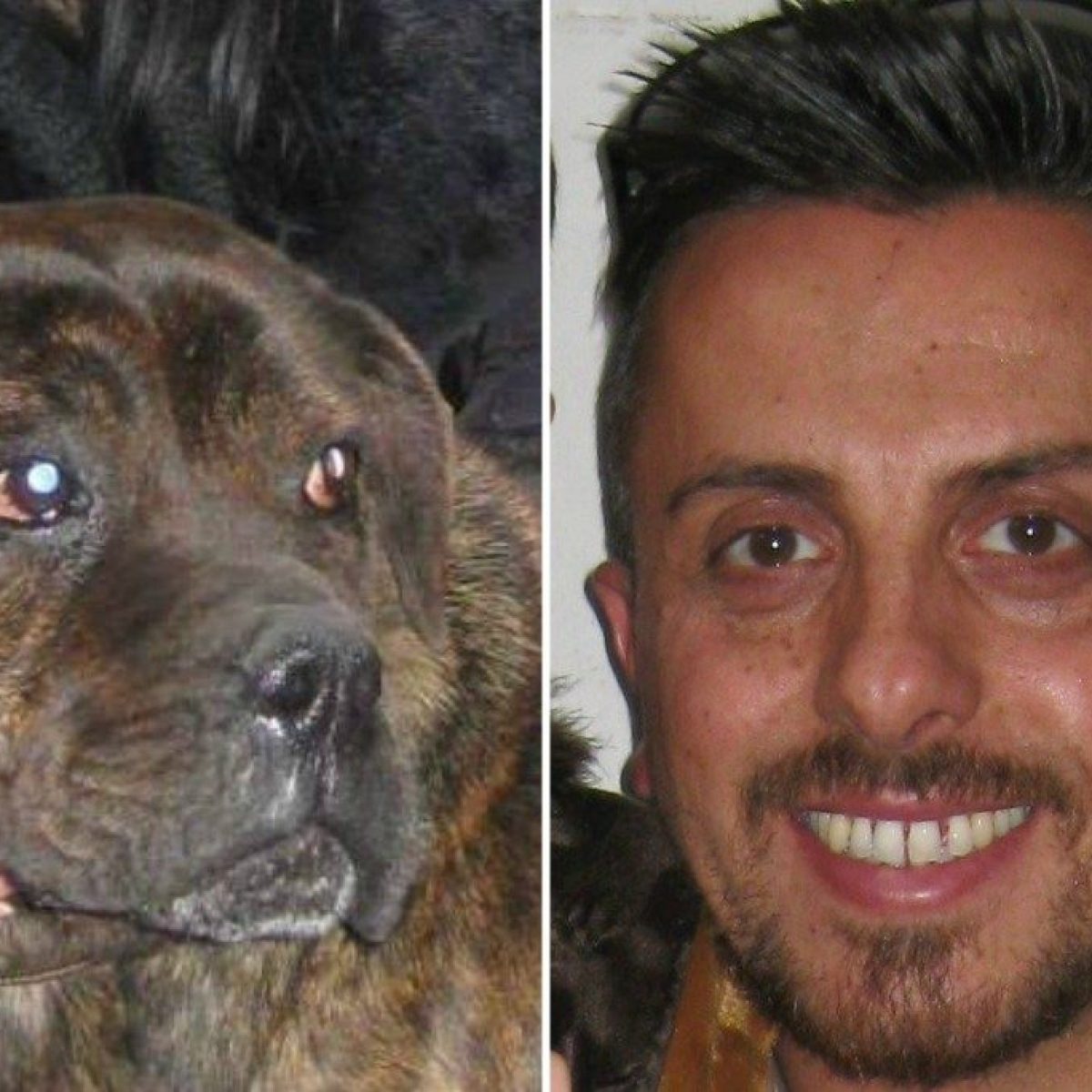 Gianluca Romagnoli Morto Sbranato Dal Suo Cane Lesperta Non Ci