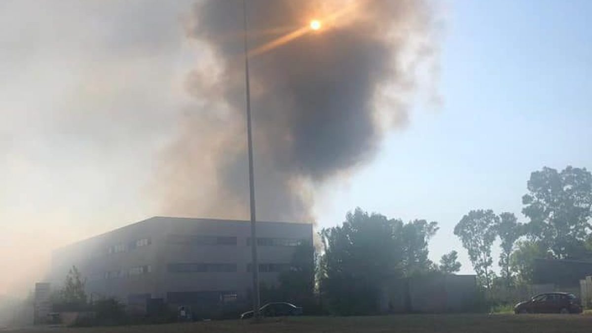 Incendio A Ostia Antica Alta Colonna Di Fumo Nero Visibile In Citta