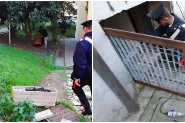 riparato senza droghe
