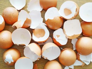 eggshells
