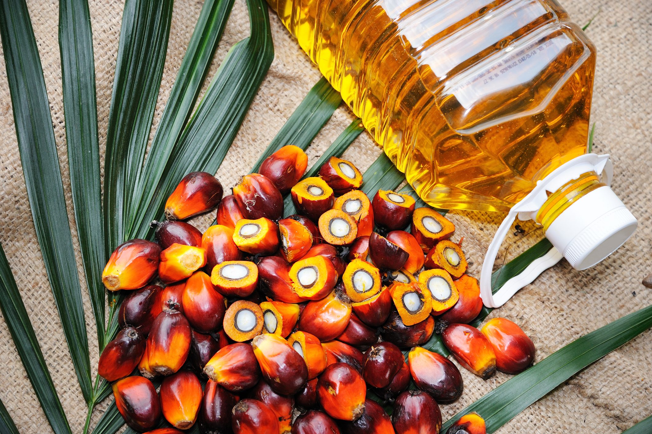 Olio di palma