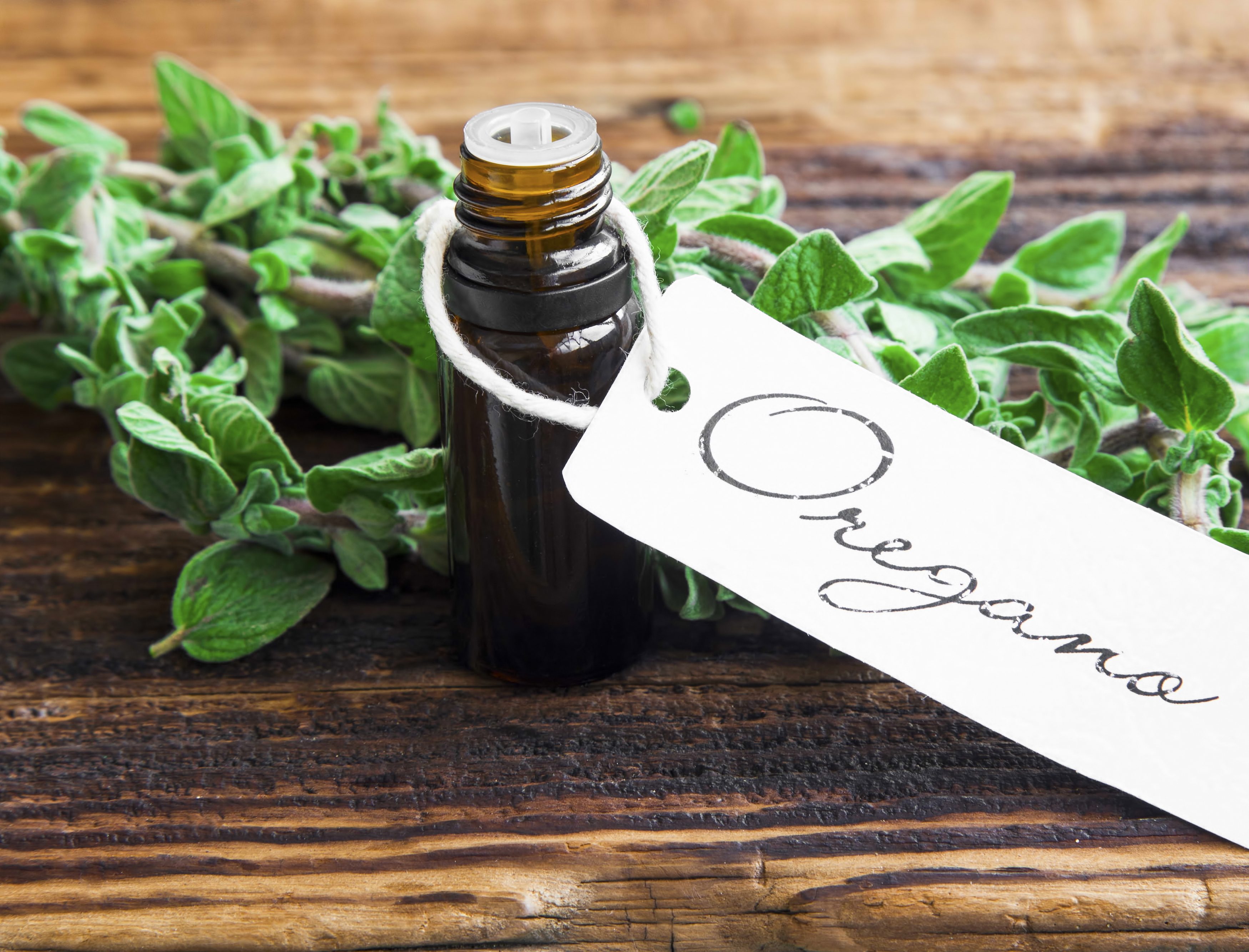 oil-of-oregano