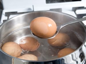 eggs
