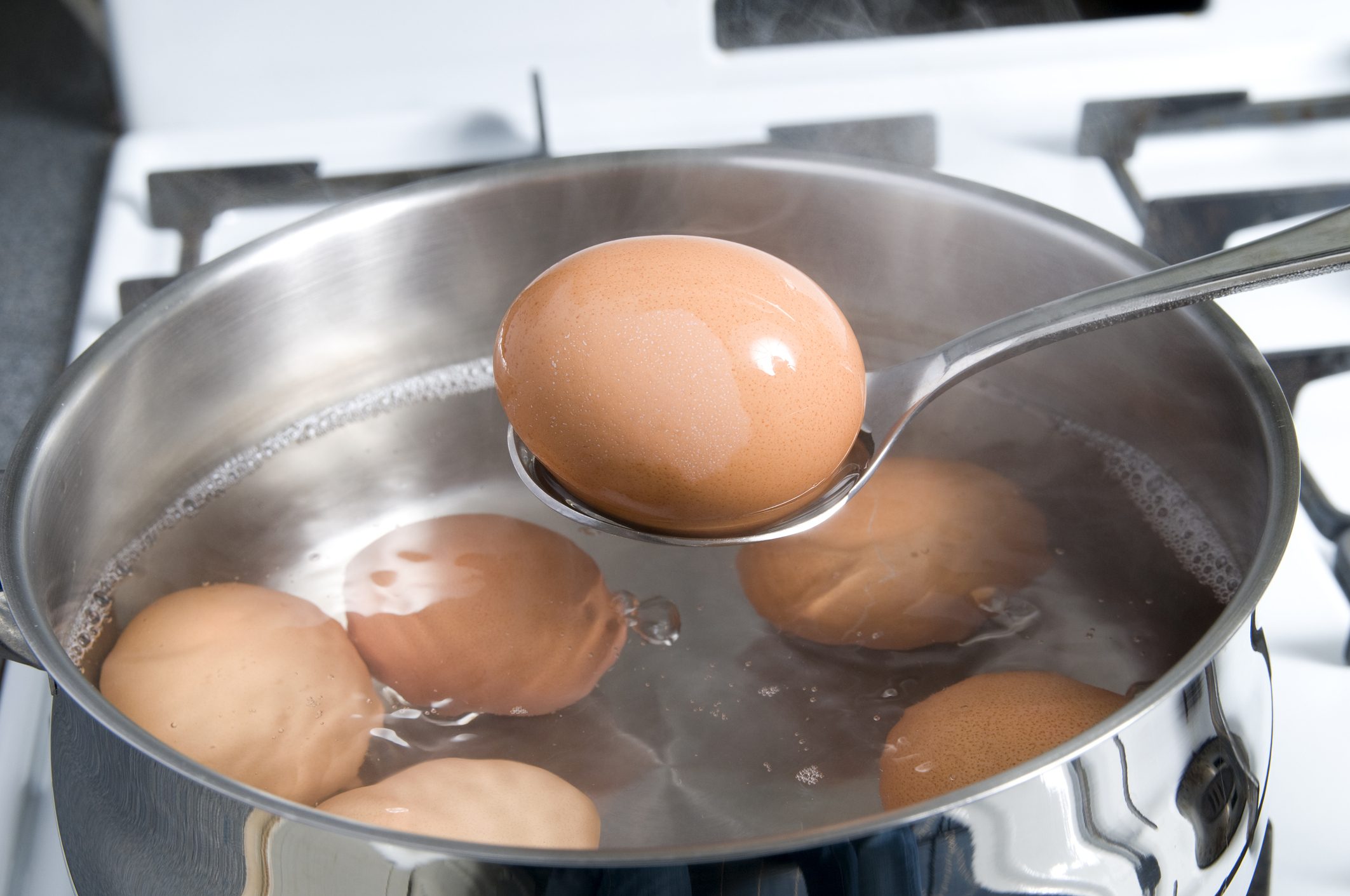 eggs