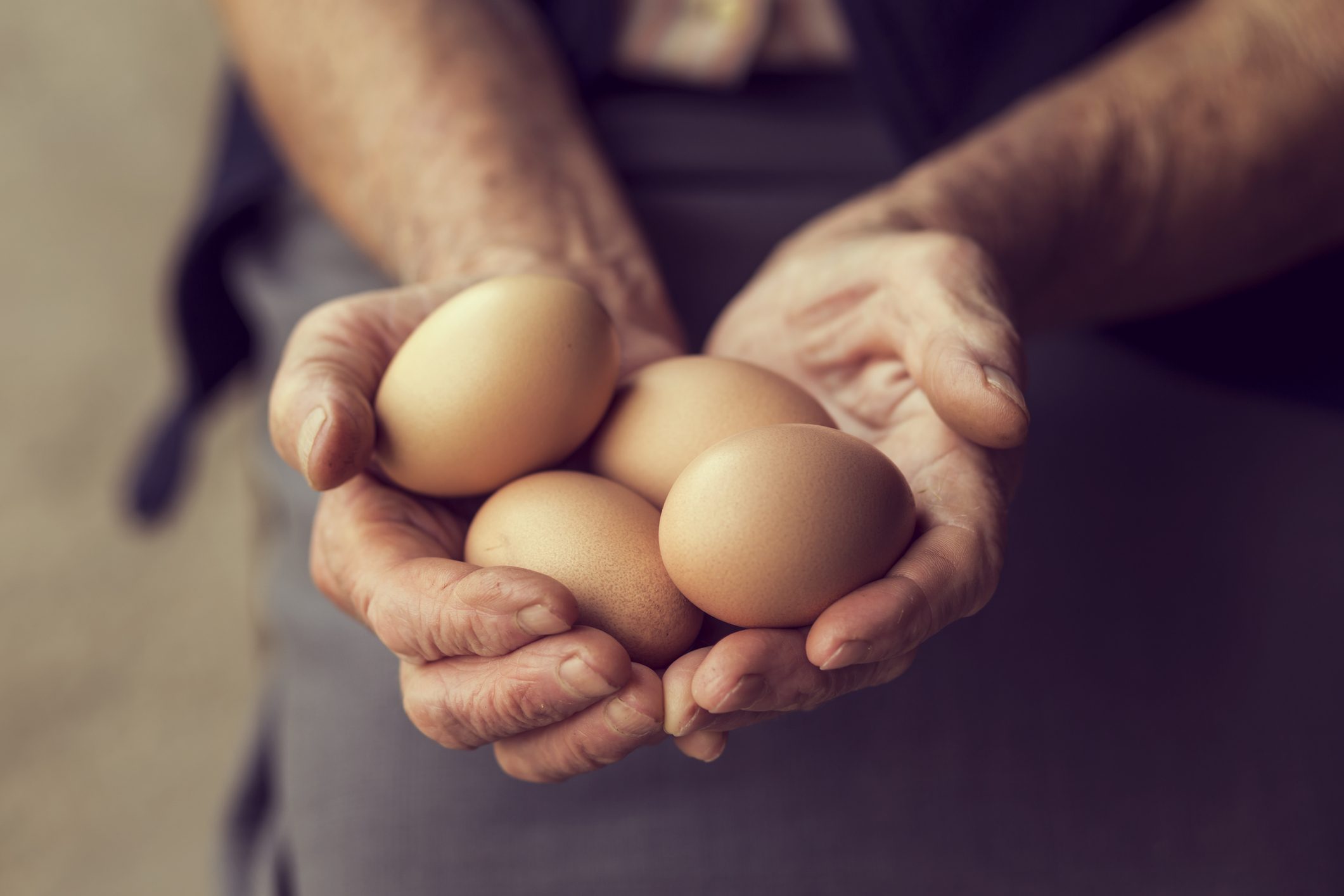 eggs