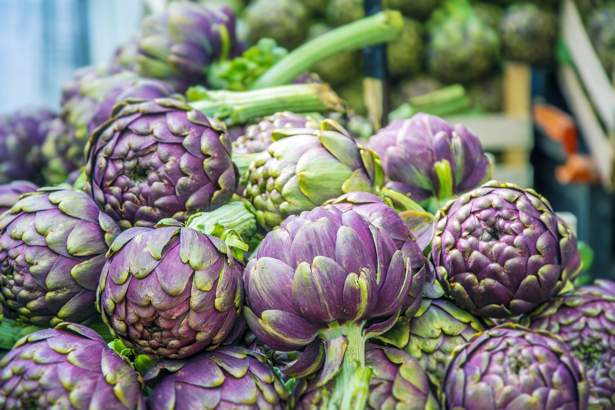 artichoke-water-benefits-properties-and-how-to-prepare-it