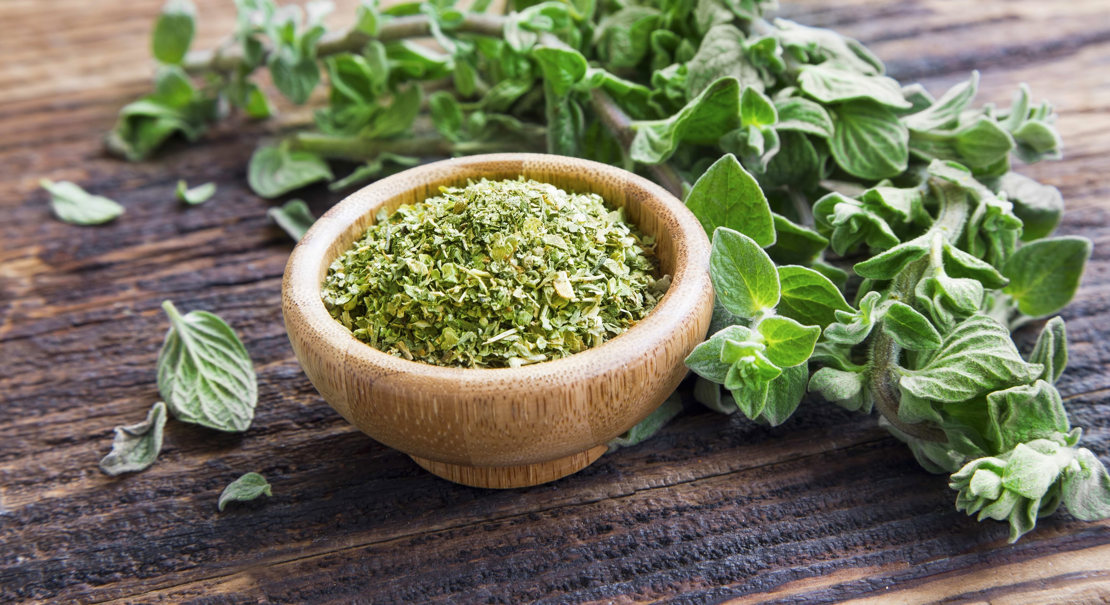Is Oregano Good For A Cold At Kimberly Curlee Blog Is Oregano Good For A Cold At Kimberly Curlee Blog