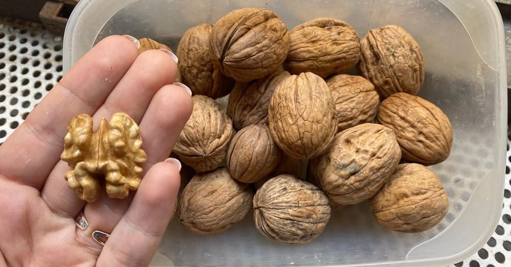 6 benefits of eating nuts to lose weight