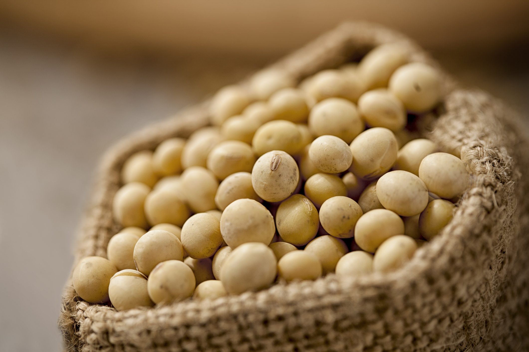 7 different plantbased proteins