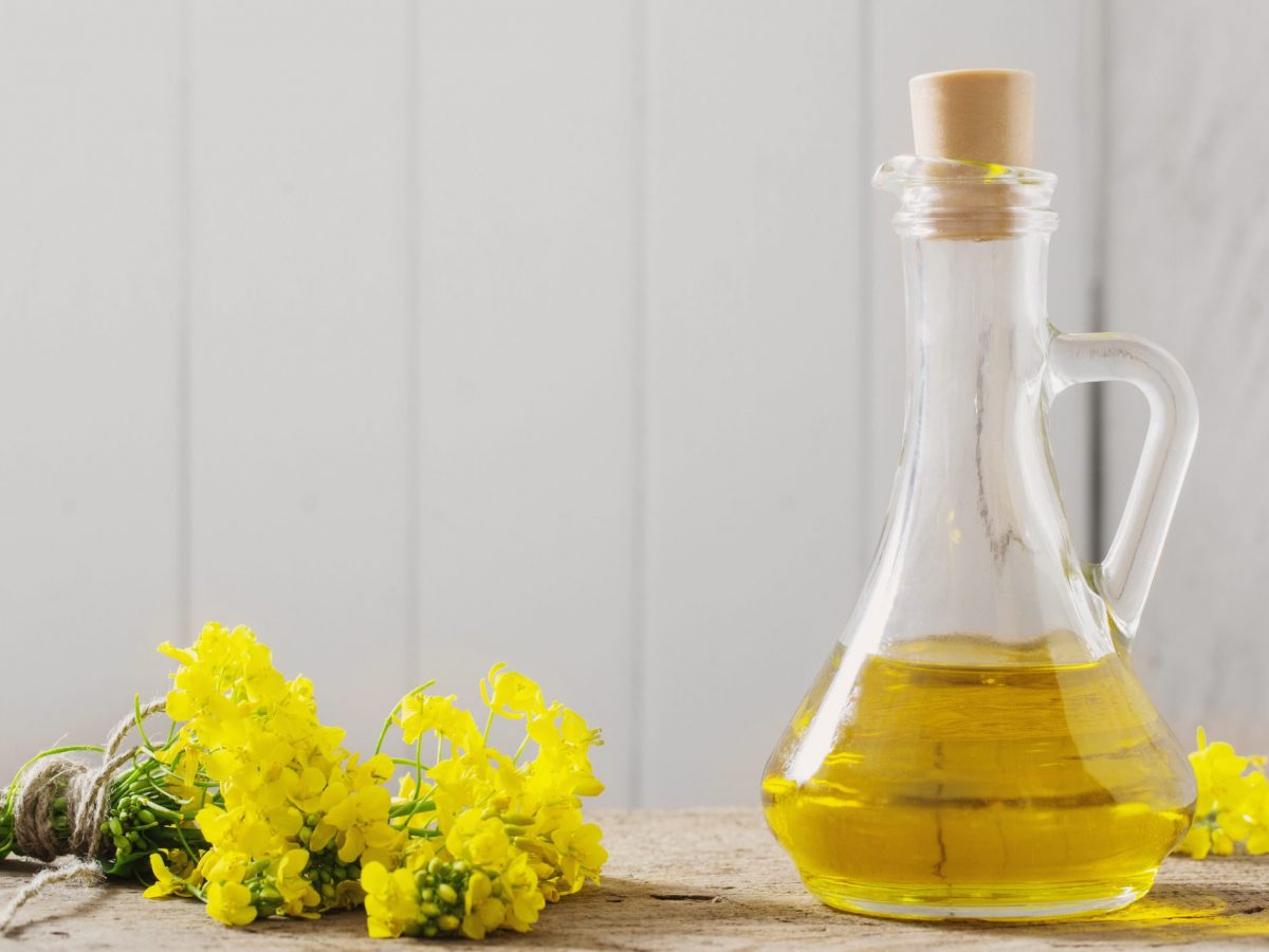 6 ways in which consuming canola oil can negatively impact our health