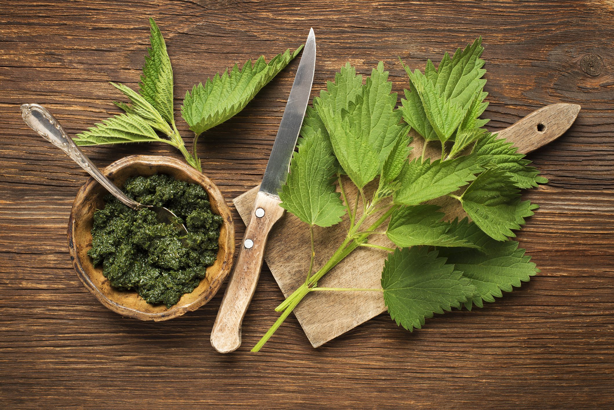 11 health benefits of stinging nettle