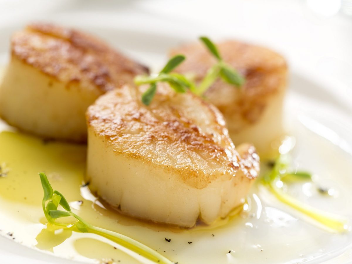 12 Impressive Health Benefits of Scallops | Cookist.com