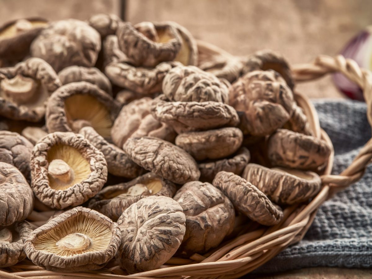 Shiitake mushrooms properties and how to use them