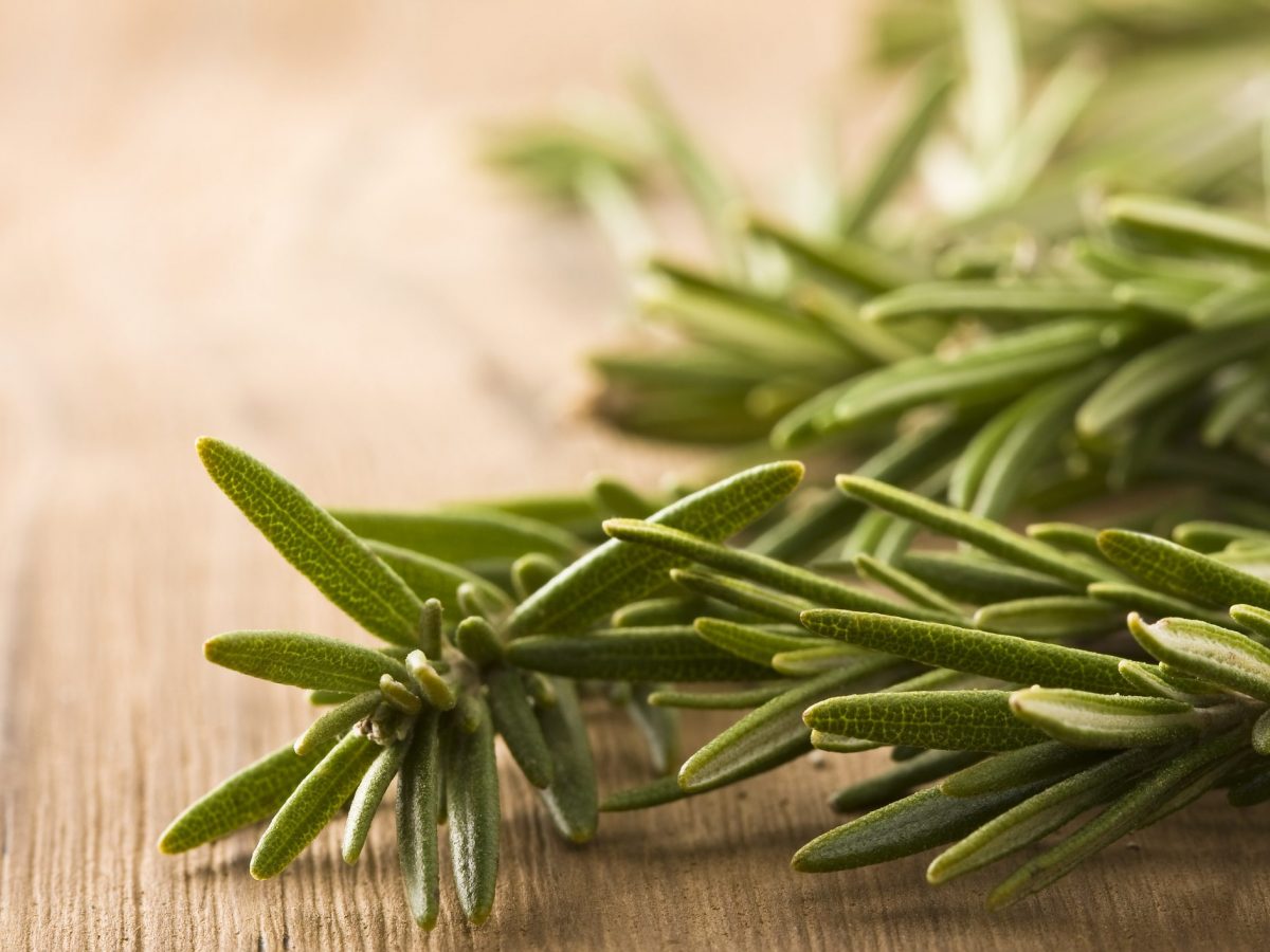 rosemary benefits for hair