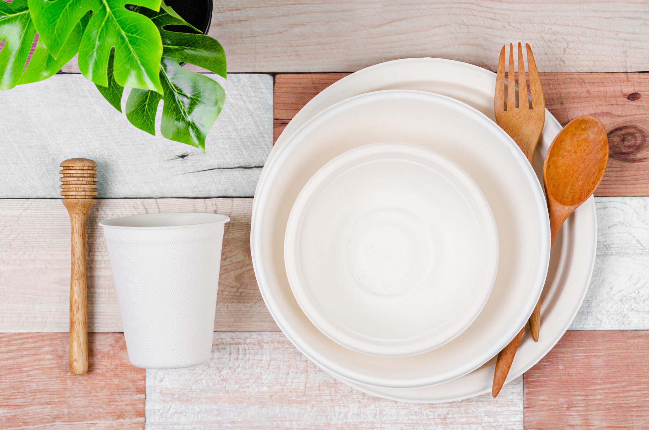 Goodbye plastic, edible and biodegradable plates will save the future