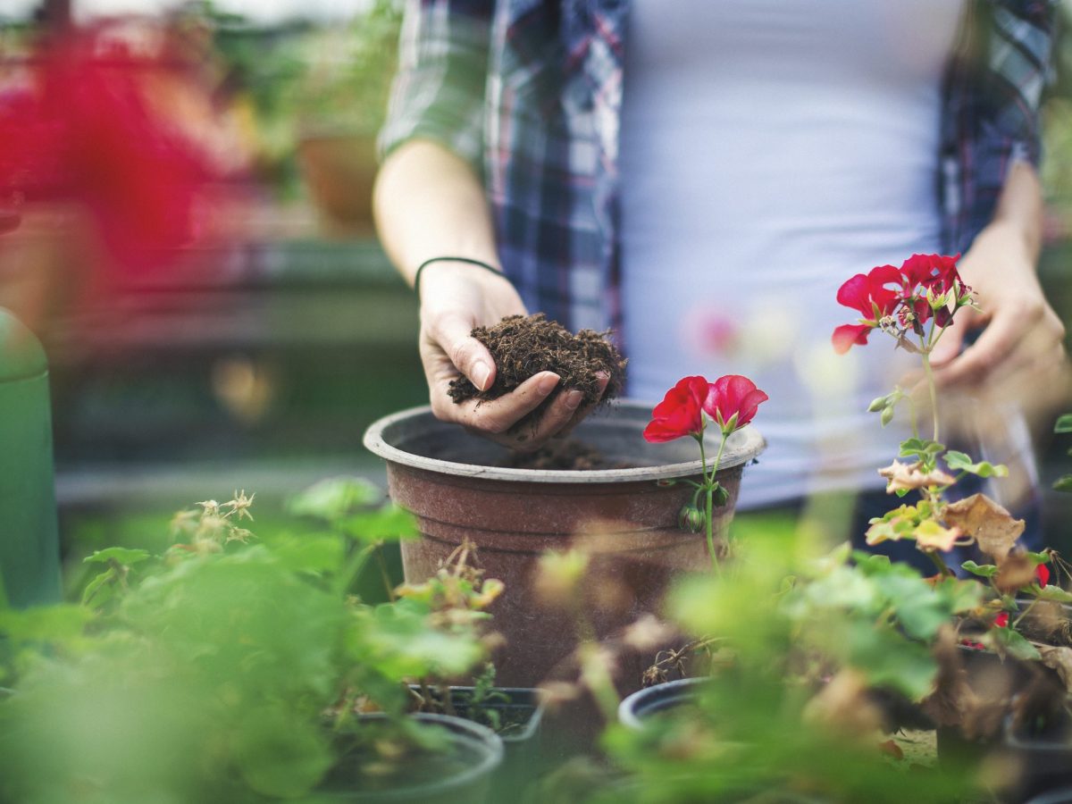 17 Clever Gardening Tricks