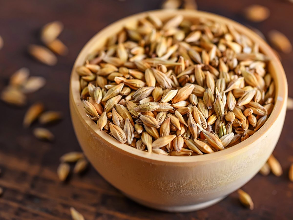 Barley malt what it is and how to use the natural alternative