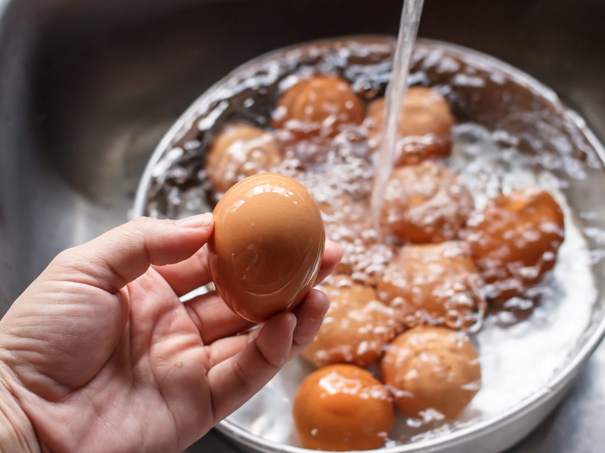 Don't Wash Farmfresh Eggs. Here's Why (As Explained By Experts