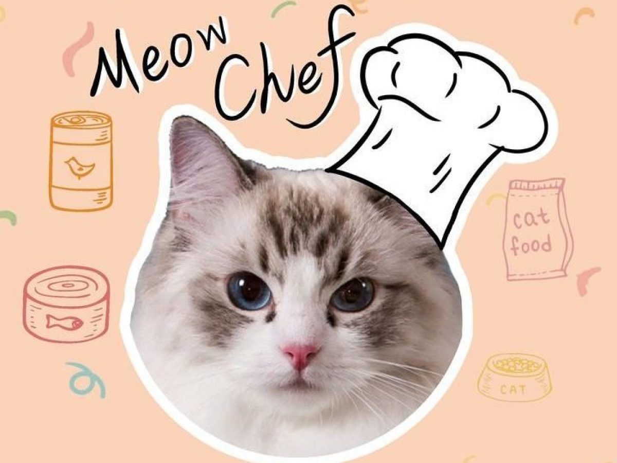 This TikTok Cat Chef Makes Cooking Look Easier Than Any Hooman Can