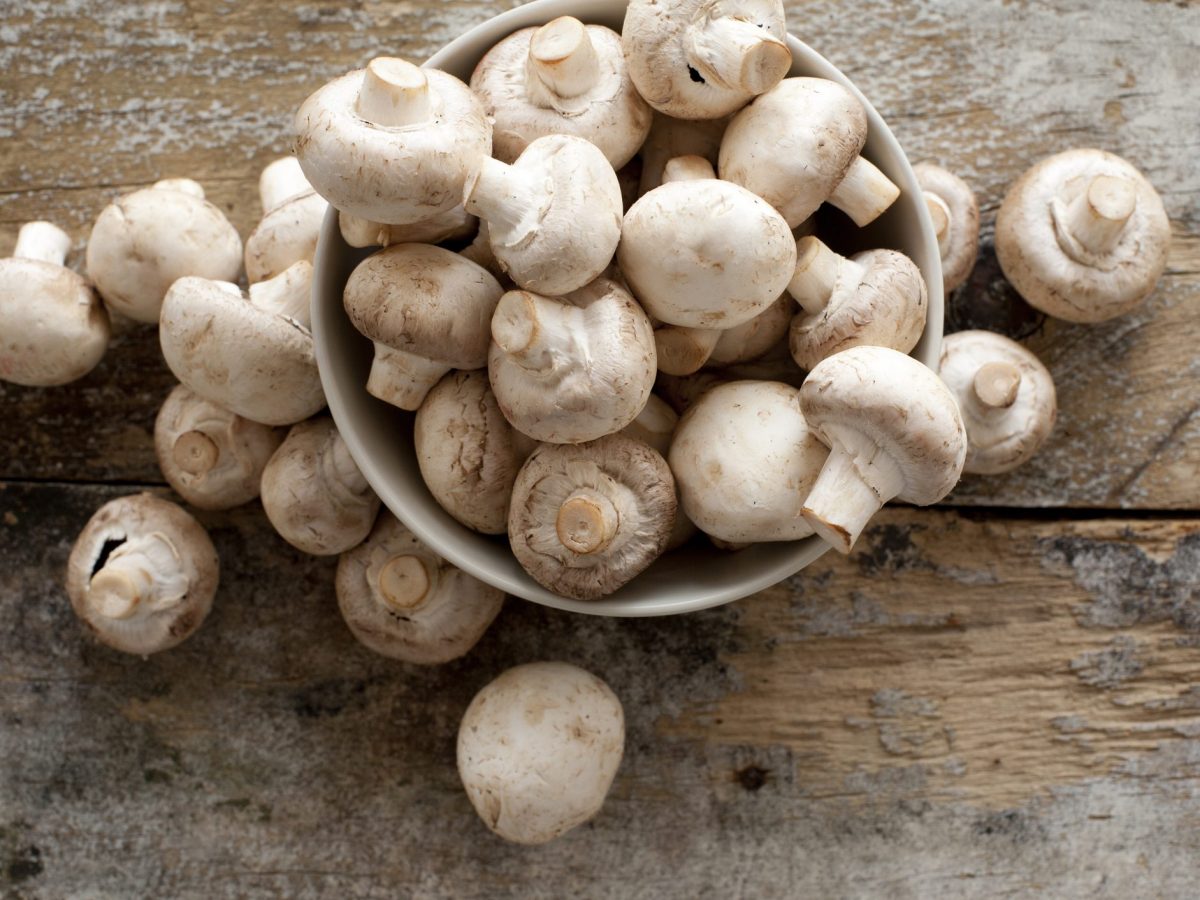 Here's How to Tell If Your Mushrooms Have Gone Bad (And Other Fungi