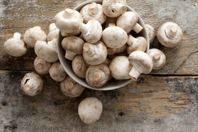 Here S How To Tell If Your Mushrooms Have Gone Bad And Other Fungi Facts You Need To Know