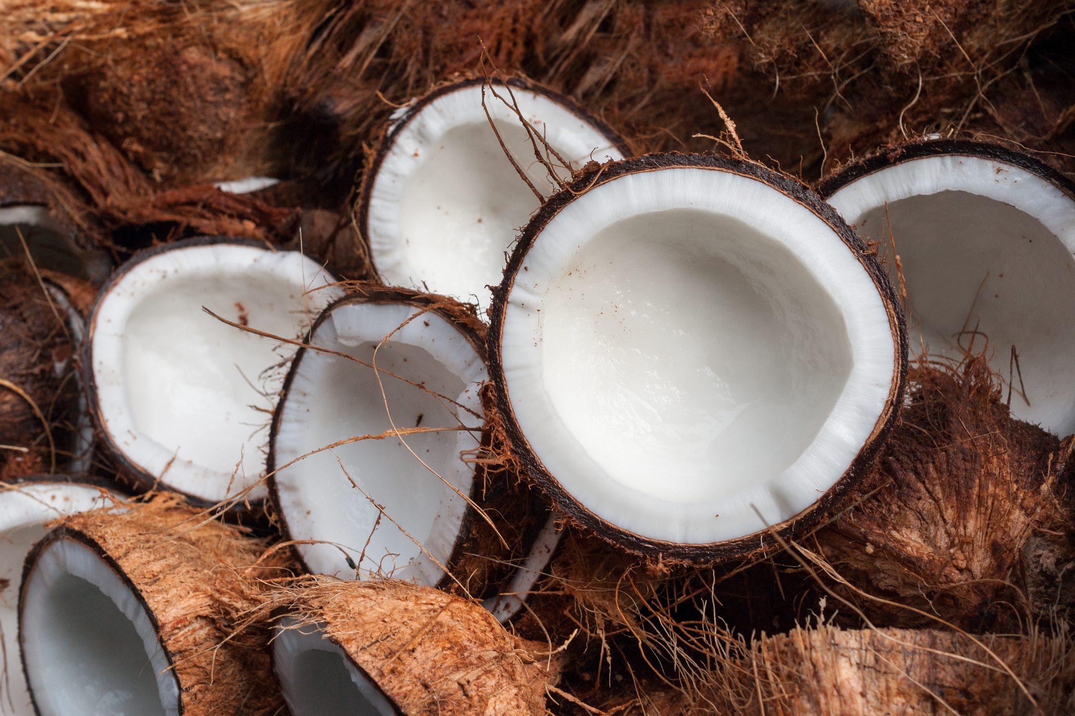 From Husk to Kernel How We Use Coconuts