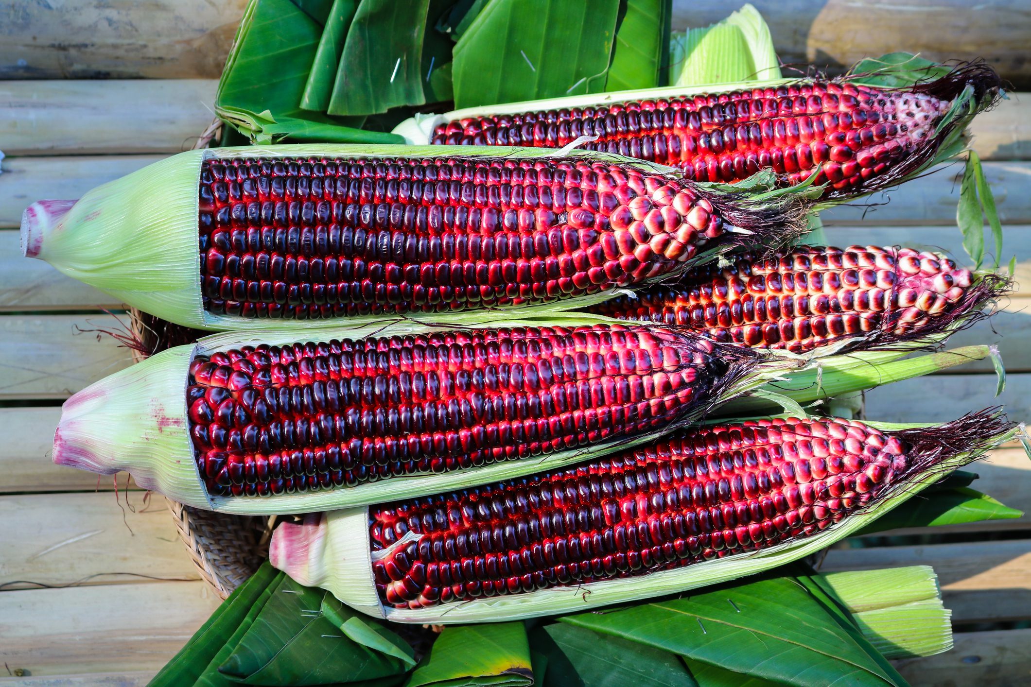Purple Corn Can Prevent Diabetes, Hypertension and Obesity, Experts Say