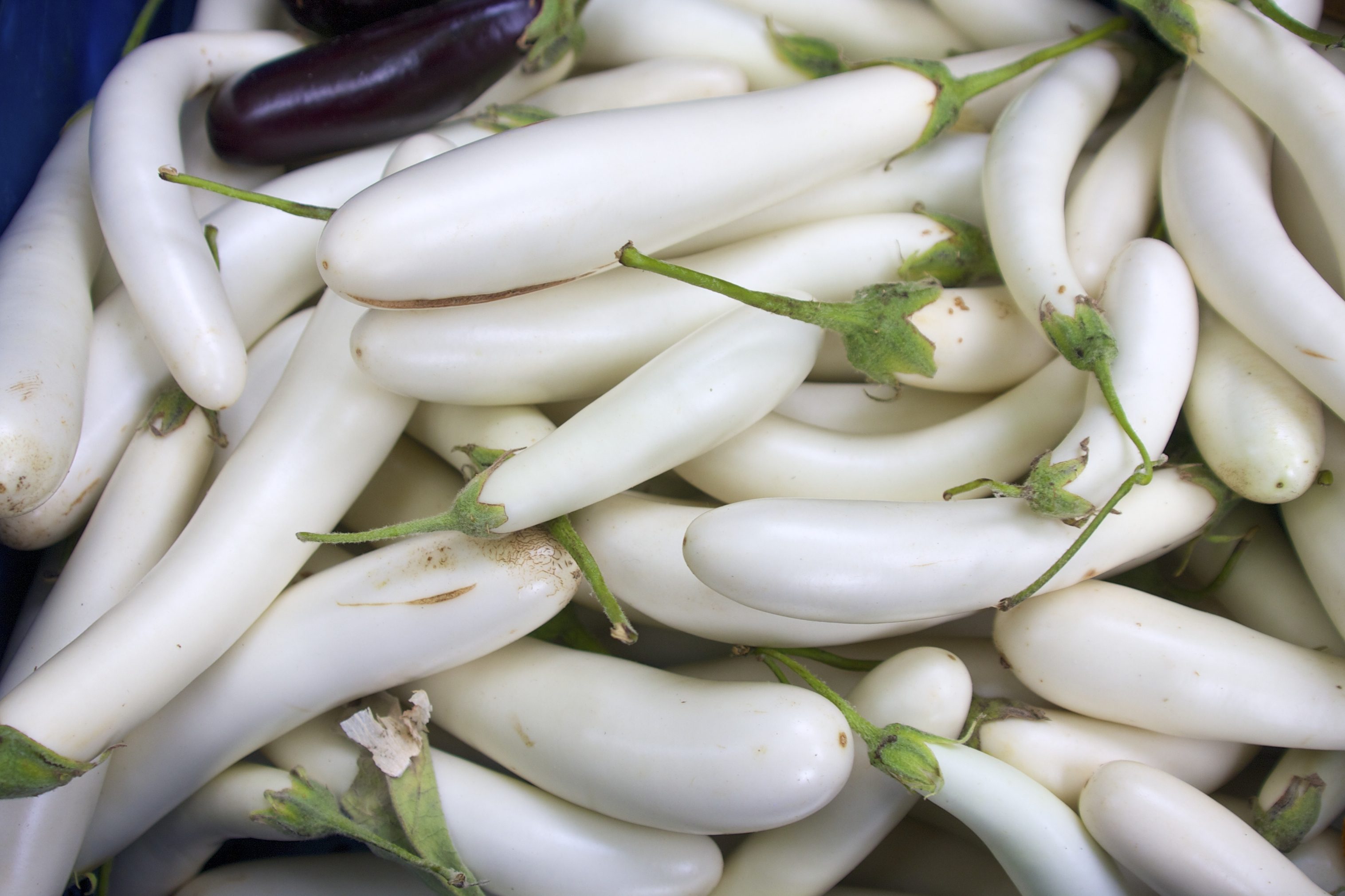 Have You Tried White Eggplants, The Smaller — And Milder — Alternative